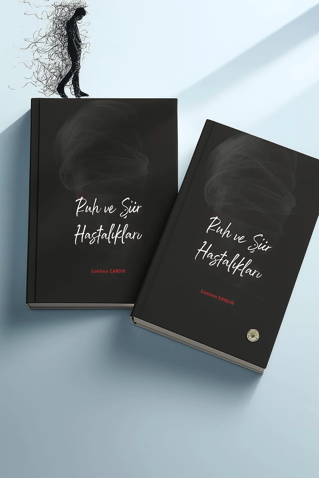 Beklenen şiir kitabı ’’Ruh ve şiir hastalıkları’’